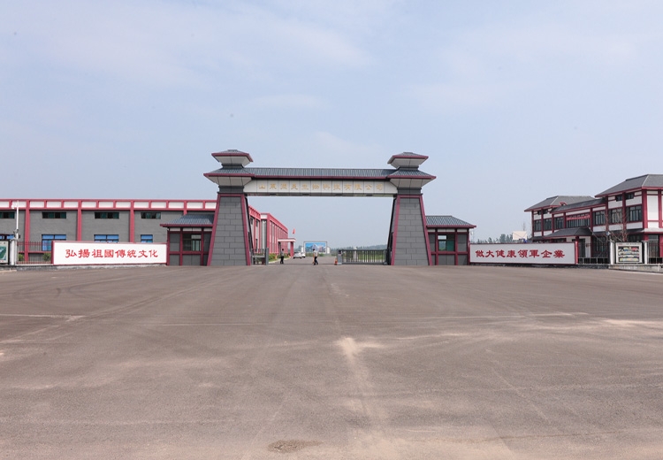 山东润美生物科技厂区道路工程